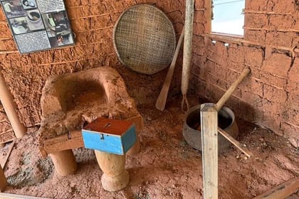 Mangrove Tunnel, Garifuna village,food tasting,wildlife encounter