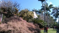 CHURCH AND GARDEN