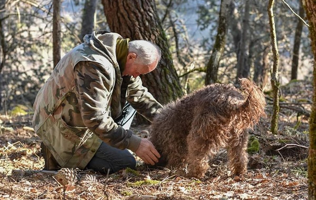 Truffle Hunting and Amarone Wine Tasting in Marano di Valpolicella