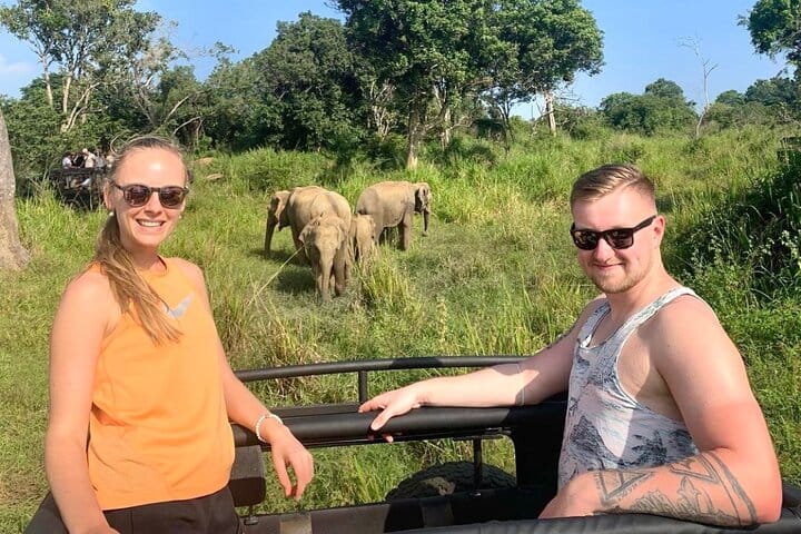 Sigiriya Rock Fortress and Cave Temples Day Trip