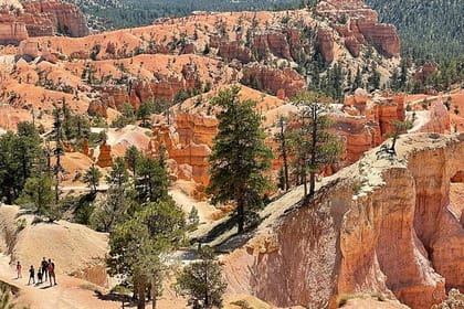 Small Group Day Tour To Explore Bryce Canyon & Zion National Park
