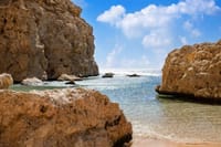 Private Half Day Tour By Minibus To Ras Mohammed National Park  4