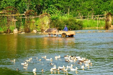 Three-Day Pu Luong Nature Reserve and Ninh Binh Tour from Hanoi
