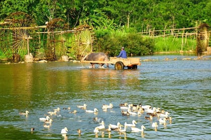Pu Luong Nature Reserve and Ninh Binh Heritage 3 Days from Hanoi