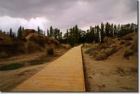 Private Day Tour to Beshbalik City Ruins or Beiting Old City from Urumqi 2