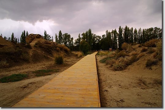 Private Day Tour to Beshbalik City Ruins or Beiting Old City from Urumqi