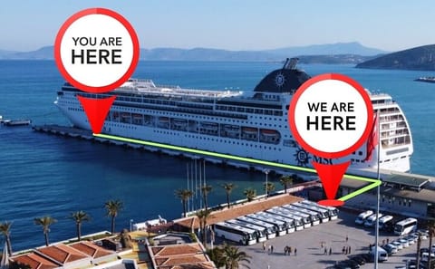 Private Ephesus Tour from Kuşadası Port with Expert Guide