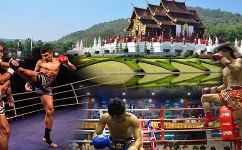 Thapae Boxing Stadium Muay Thai Boxing Ticket in Chiang Mai