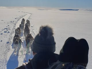Siberian Husky Dog Sledding, photo 21