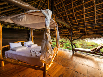 Birdwatching and Wildlife Safari in Colombo, Sri Lanka