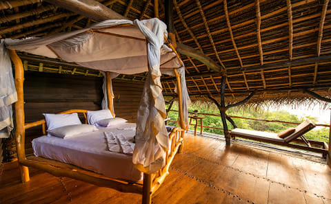 Birdwatching and Wildlife Safari in Colombo, Sri Lanka