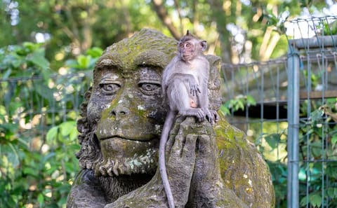 Private 3-Day Cultural and Scenic Tour of Ubud