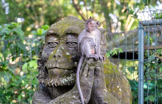 3 Days for the best of Ubud Private Tour