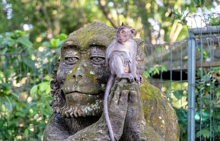 Private 3-Day Cultural and Scenic Tour of Ubud