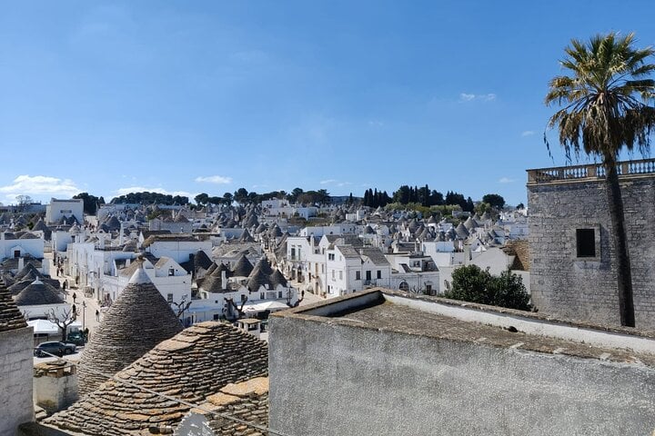 Visita guidata dei Trulli di Alberobello 5