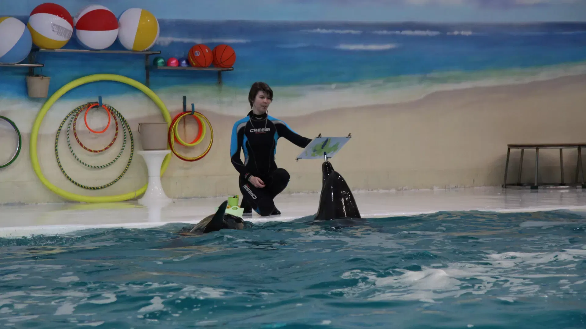 A trainer kneels by the edge of a pool holding up a small painted canvas while a dolphin surfaces near her at Dubai Dolphinarium.