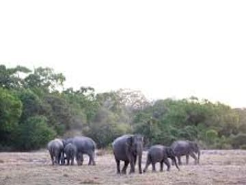 Arugam Bay Beach Tour: 3 Days of Sun and Relaxation