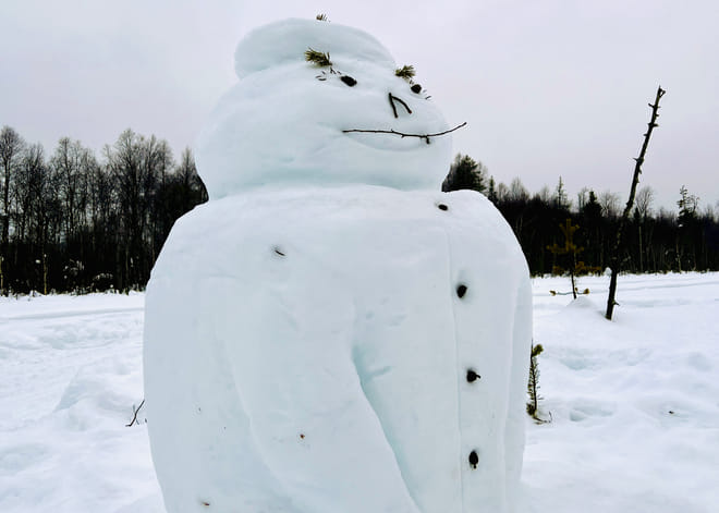 Happy Fox Snow sculpting