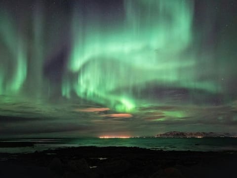 Reykjavik: Private Super Jeep Northern Lights Hunt, photo 3