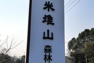 Private Hiking Tour of Tai Lake and Guangfu Peak from Shanghai