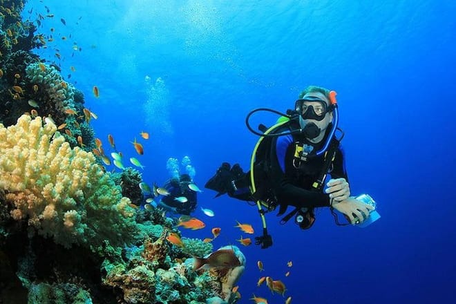 Professional Scuba Diving Full Day Trip With Transfer – Hurghada