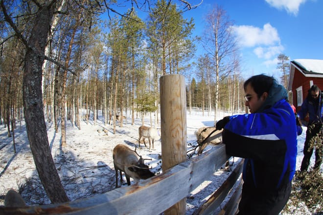Active Family Day Adventure - Rovaniemi photo 6