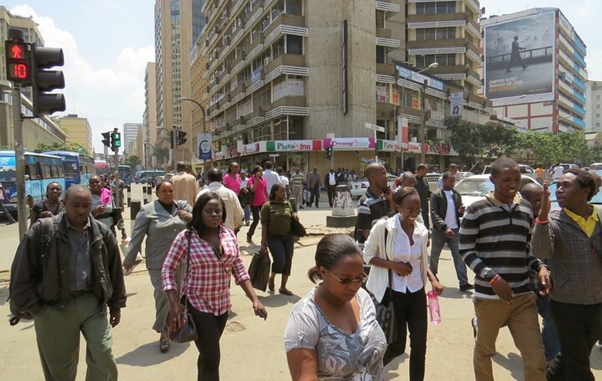 Nairobi City Walking Guided Tour with Lunch at Carnivore