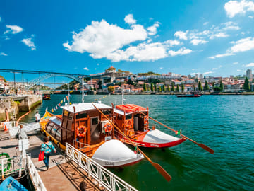 From Porto: Small Group Douro Valley Wine Tour