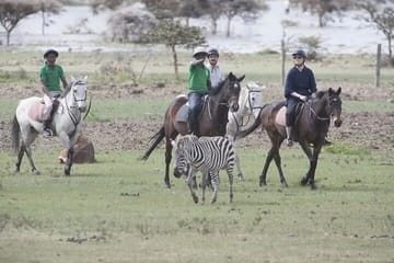 Breathtaking Hellsgate and Lake Naivasha Day Trip- Free WI FI