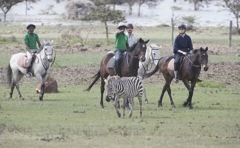 Breathtaking Hellsgate and Lake Naivasha Day Trip- Free WI FI