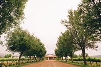 Casas del Bosque Vineyard