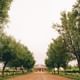 Casas del Bosque Vineyard