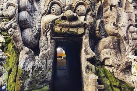Private Full Day Ubud Experience