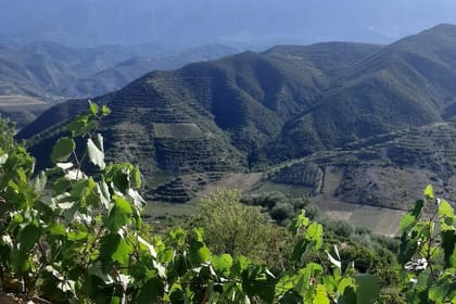 Berat 4×4 Off-Road and Vineyard Wine Tasting