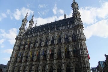 Gothic Landmarks and Medieval Heritage Walking Tour in Leuven