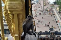  Kuala Lumpur Full Day City Tour Cruise Excursion from Port Klang 7