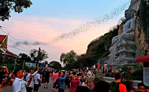 7-Day Cultural Adventure Tour of Siem Reap and Battambang