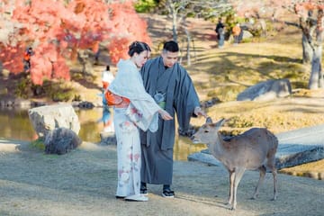 Tokyo, Mt. Fuji, Kyoto and Nara 6 Days Private Tour
