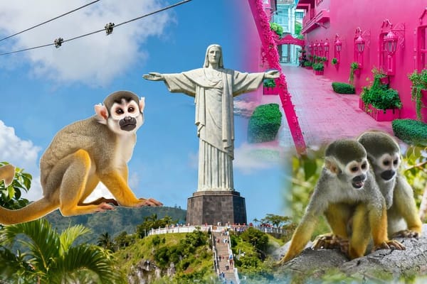 2x1: City Tour & Monkey Encounter tour combo Puerto plata