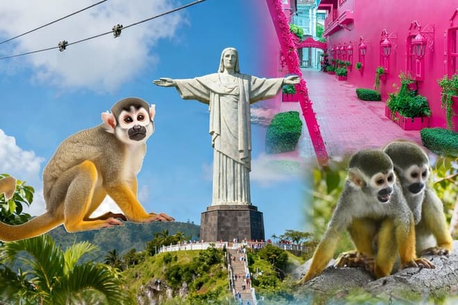 2x1: City Tour & Monkey Encounter tour combo Puerto plata