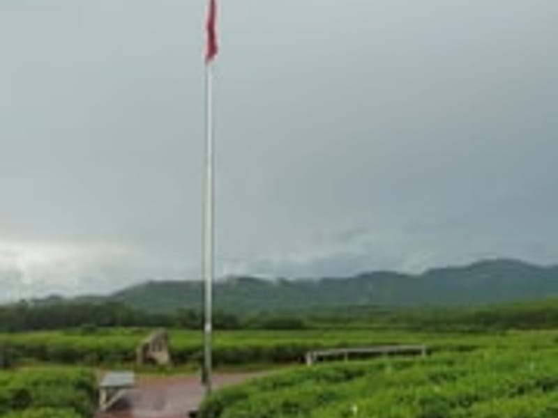 Huangshan: Tai Chi & Kung Fu Class with a Master