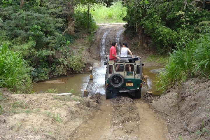 Horton Plains National Park Tour With Scenic Train Ride