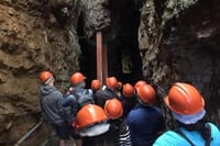 Cradle of Humankind Tour from Johannesburg 5