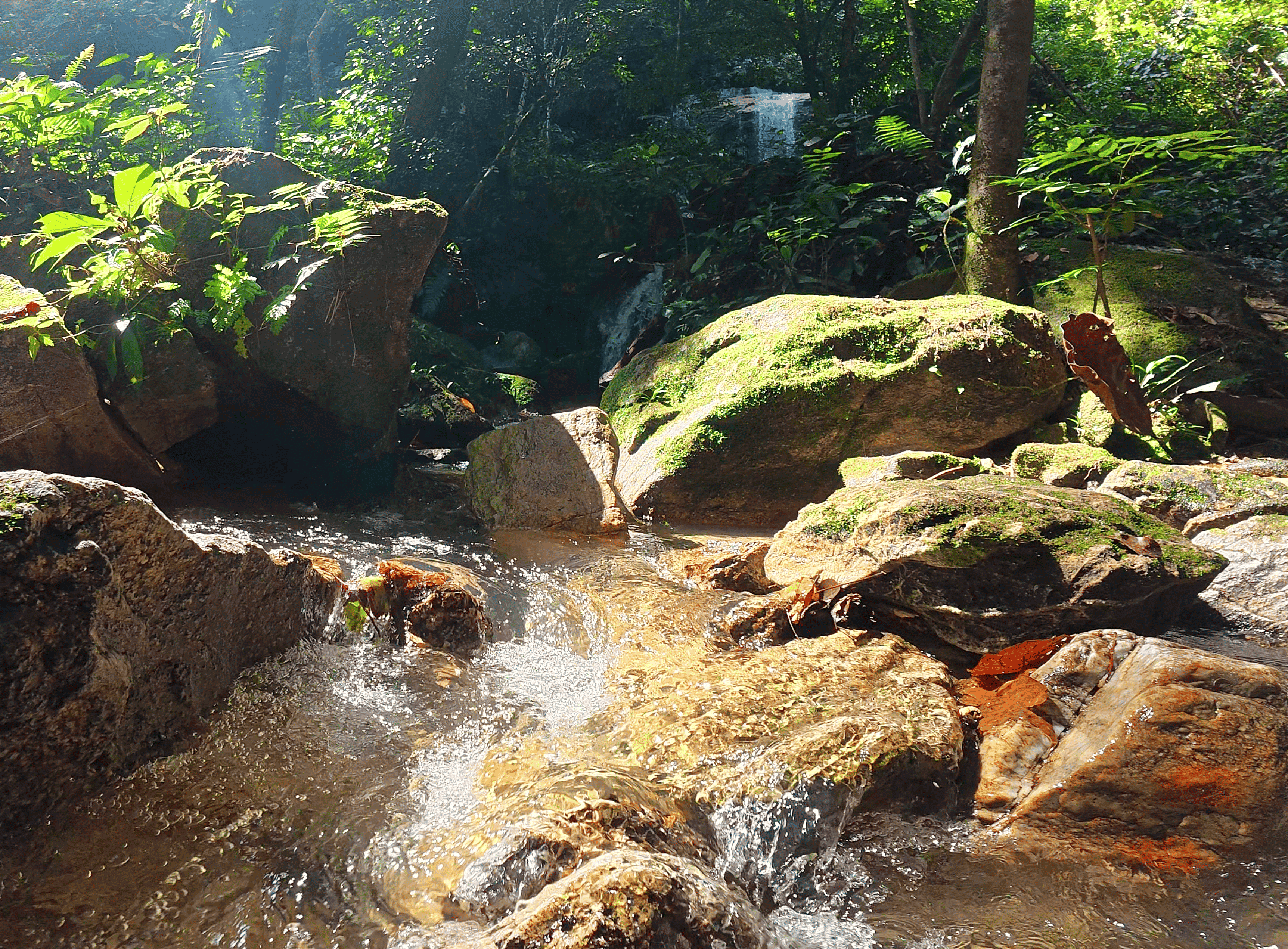 Clear mini river flowing over moss-covered rocks in a lush green forest at Lata Pinang (Air Terjun Maya Karin Waterfall)