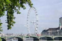 London Full Day Private Walking Tour with a Professional Guide 10