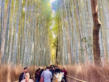 Arashiyama District