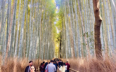 Kyoto Highlights: Private Tour Full-Day English Driver & Van