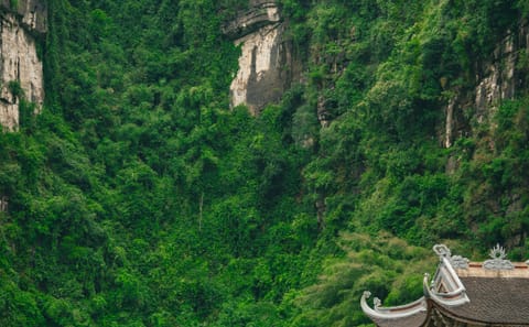 Ninh Binh Nature and History Tour from Hanoi: Hoa Lu and Trang An