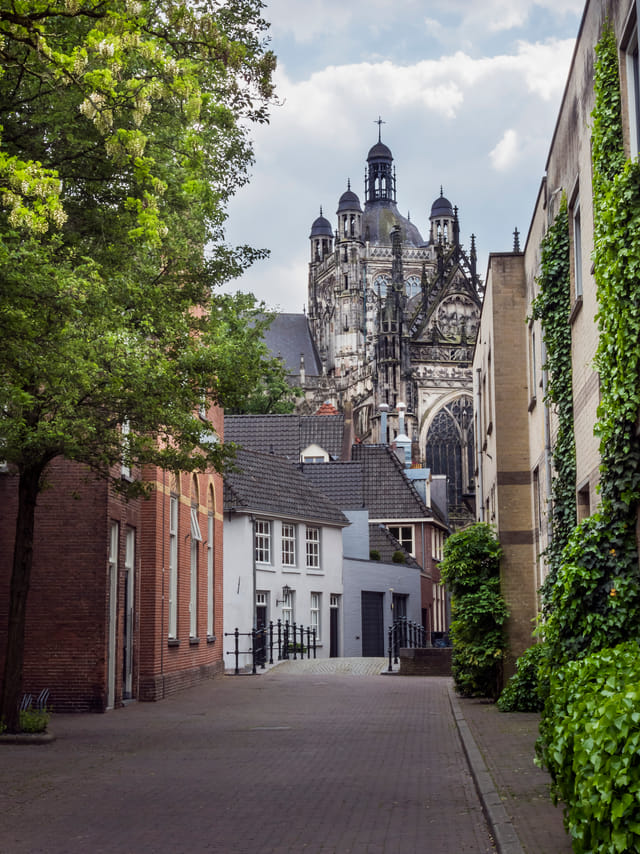 Den Bosch in 1 Day - Walking Tour - Audioguide in 7 languages 8