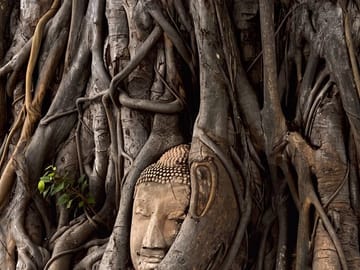 Bangkok Private Day Tour to Ayutthaya Temples and Baiyoke